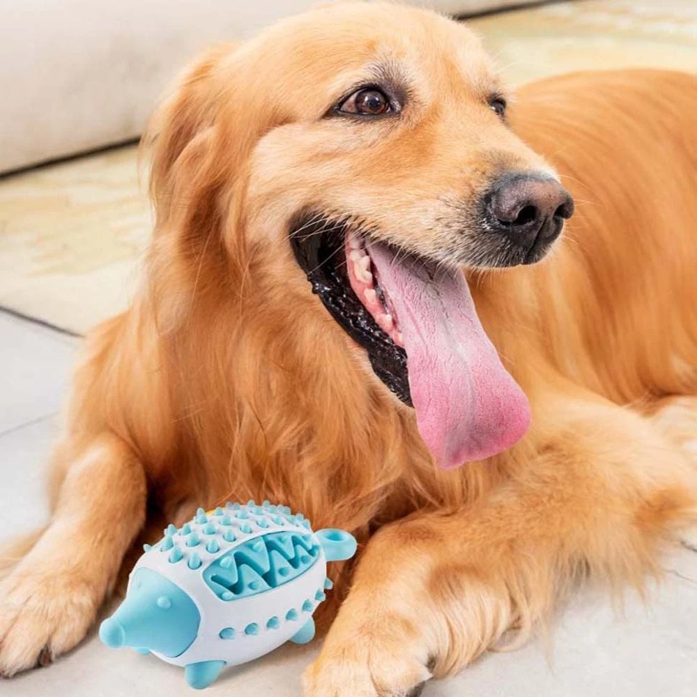 Teeth ball for dogs deals