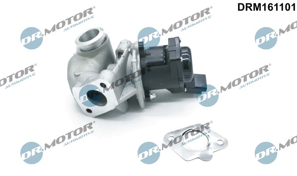Dr.Motor Automotive DRM161101 Agr-Ventil For CitroËN Fiat Ford Peugeot-image
