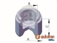 Autofren Seinsa Kolben, Bremssattel D025356 FüR KIA