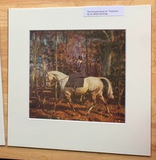 SIR ALFRED MUNNINGS; The Princess Royal on Portumna`. MOUNTED PRINT. ART.