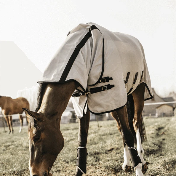 Kentucky Horsewear 125 Beige Fliegendecke mit Halsteil Pferdedecke - Bild 3 von 4