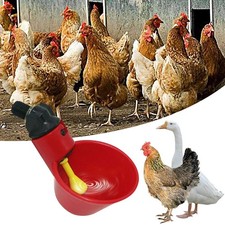 Automatic Cups Water Feeder Drinker Chicken Waterer Poultry Chook Bird CW