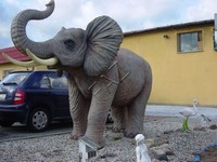 Elefant Figur Garten Statue Skulptur Figuren Skulpturen Dekoration Skulpturen