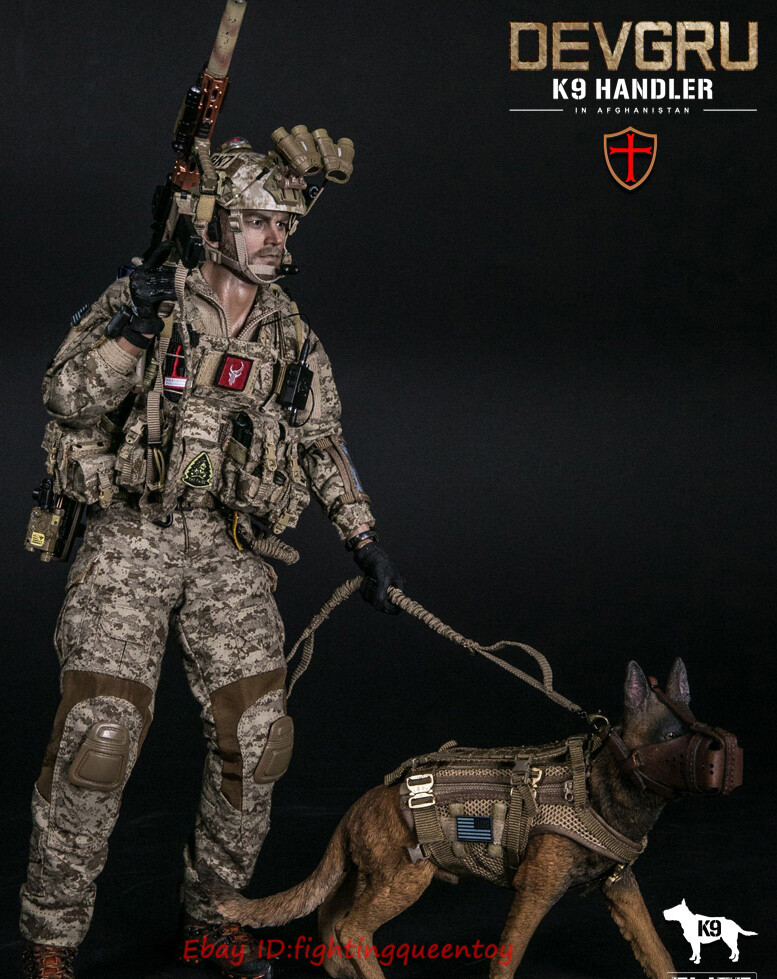 DAMTOYS DAM 78040 DEVGRU K9-Handler In Afghanistan 1/6 Figure With
