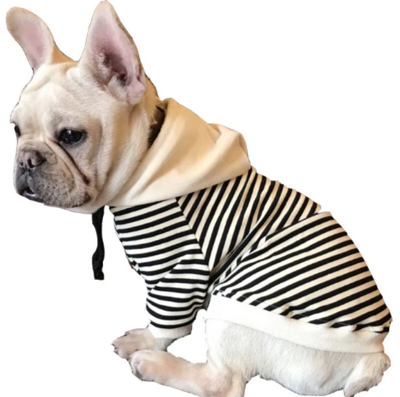 Sweat pour bouledogue français hot sale