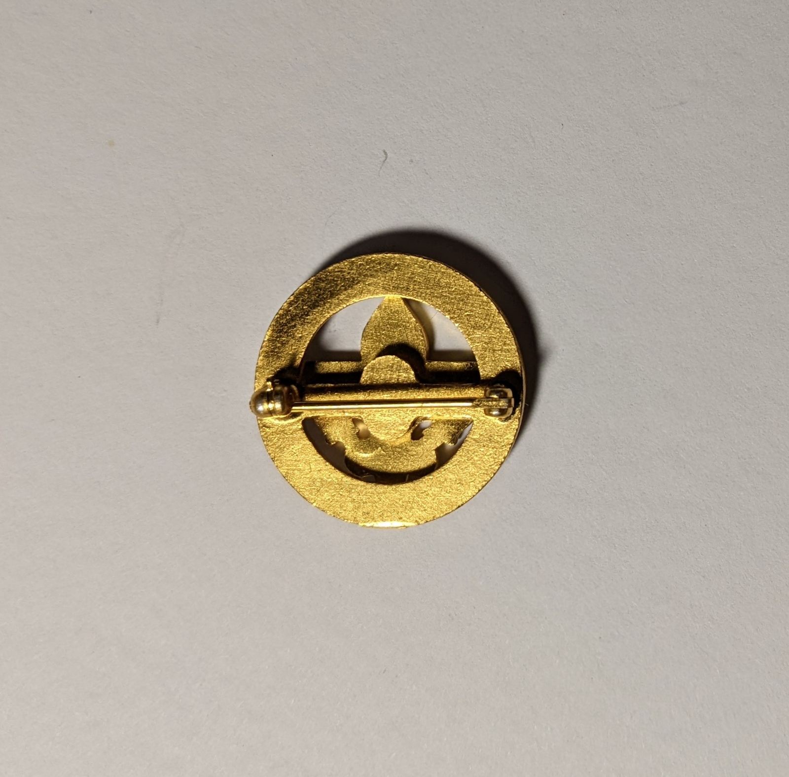 Assistant Post Advisor 1946-1953 23mm Explorer Collar Brass - Lapel Pin ...