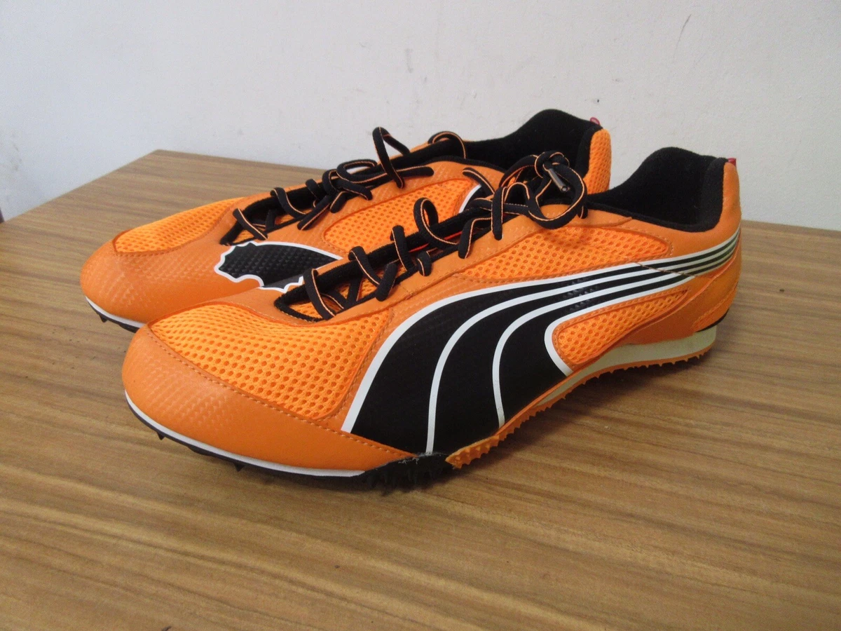 Puma complete 2024