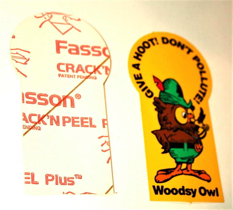 Juego de 2 Woodsy The Owl Give A Hoot Don't Contalute! Pegatinas años 90 nuevas NOS Foto 3 de 3