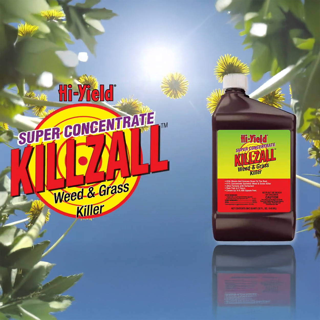 Hi-Yield KillzAll Weed & Grass Killer Super Concentrate 32 fl oz by VPG