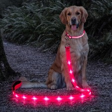 Light Up Dog Leash, USB Rechargeable LED Dog Leash, 4 Ft Reflective Pet Leash...