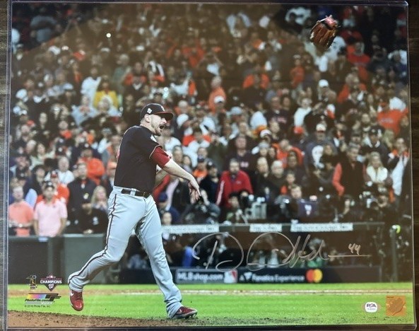 DANIEL HUDSON SIGNED AUTO WORLD SERIES 16X20 PHOTO SILVER INK PSA AUTOGRAPHED B