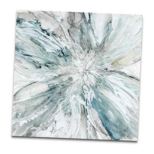 Wexford Home Gallery Wrapped Canvas Wall Art, 10L" x 10W" Soft Blossom Burst