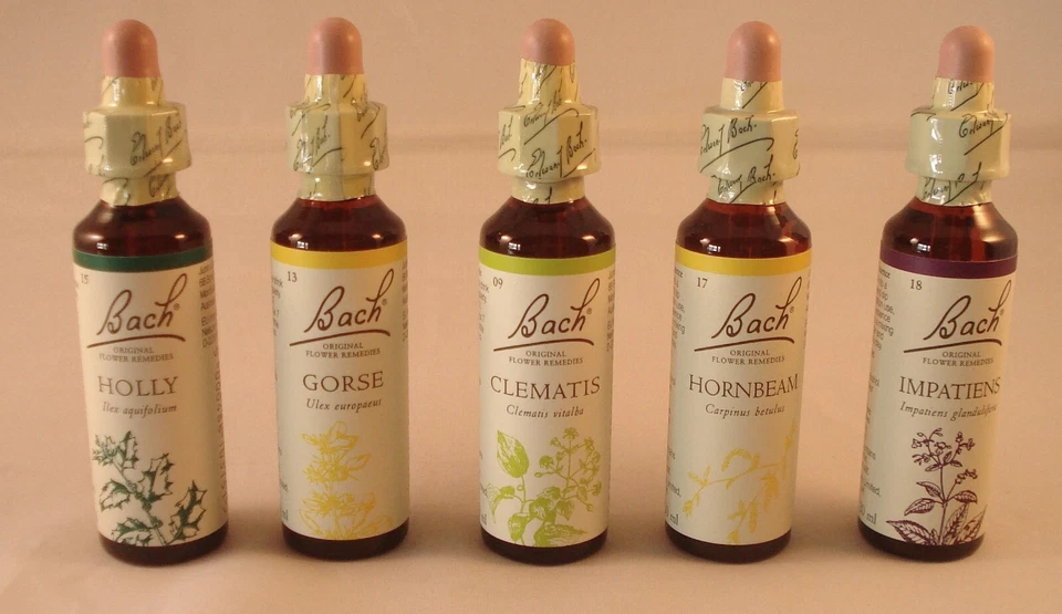 Nelson Bach Box Set of 20ml Original Flower Remedies. BBE 01/2027 - Image 4 of 4