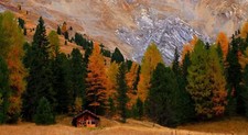 Landscape trees fall hut Custom Gaming Mat Desk