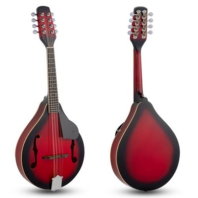 Ktaxon  8 Strings 4 Type Mandolin Bundle Kit + Tuner String Gig Bag Picks