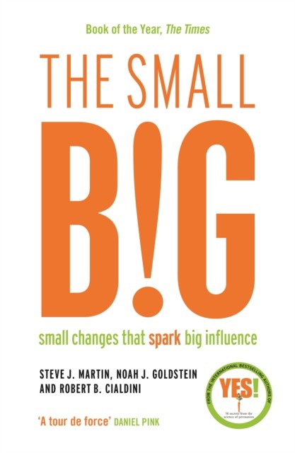 The small BIG by Noah Goldstein (Paperback Book)