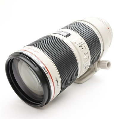 Canon EF 70-200mm F/2.8L IS II USM (Canon EF mount) #55