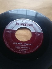 Sightseeing/Beautiful Weekend - "Andy Anderson" - 7" - KAPP Records 45 rpm