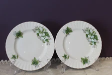 SET OF 2 ROYAL ALBERT TRILLIUM 8-1/8" LUNCHEON SALAD PLATES MADE IN ENGLAND