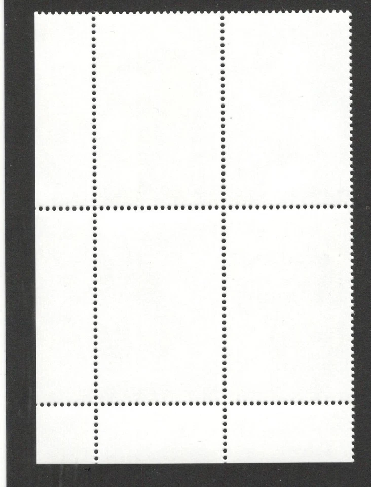 MONTENEGRO-MNH BLOQUE DE 4 SELLOS, ESQUINA INFERIOR DERECHA- FAUNA - AVES-ÁGUILA-2007. Foto 2 de 2