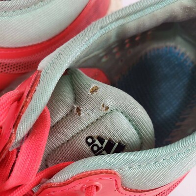 Adidas Womens Climachill Rocket Boost Running Shoes Coral B25278 Lace Up  Mesh 9M | eBay