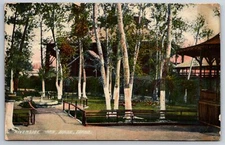 Boise Idaho~Riverside Park~Fountain on Path To Rustic Shelters~1908 Postcard