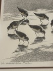 Picture 2 of 5