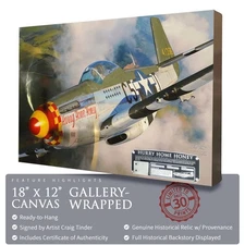 P-51 Mustang - Hurry Home Honey - 18"x12" | INCLUDES: Fuselage Panel Fragment