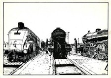 Zeichnung von Dampfloks in England Ferryhill ca. 1986 mit 60009 LNER A4-Klasse