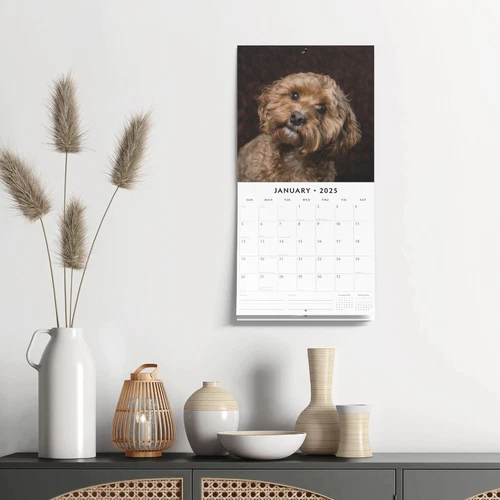 Cockapoos 2025 Square Wall Calendar