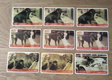 N.9 serie completa VIACARD AMICI È MEGLIO taglio 10/50/75 EURO. 