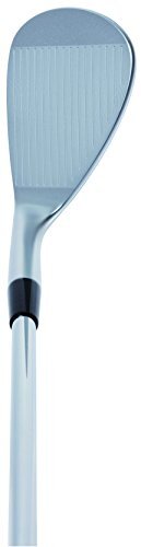 Kasco Dolphin Wedge Straight Neck Type Men's DW-118 Steel Flex: R