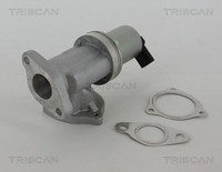 Triscan 8813 43002 Agr-Ventil FüR Hyundai, KIA