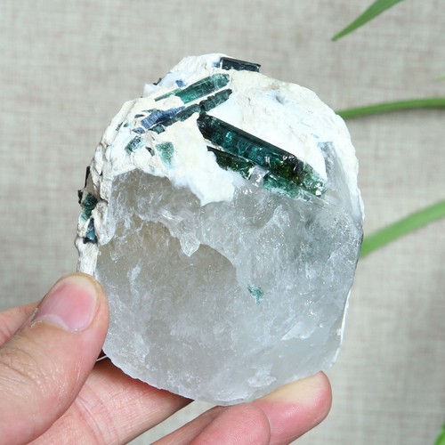 A8713-251g Rare Natural Green Tourmaline quartz crystal point healing - Picture 3 of 12