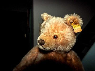 L'ours en peluche : d'où vient-il vraiment ? - Balade en Roulotte