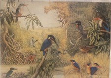 Deluxe Jigsaw Puzzle 1000