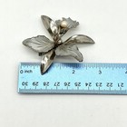 Picture 4 of 4