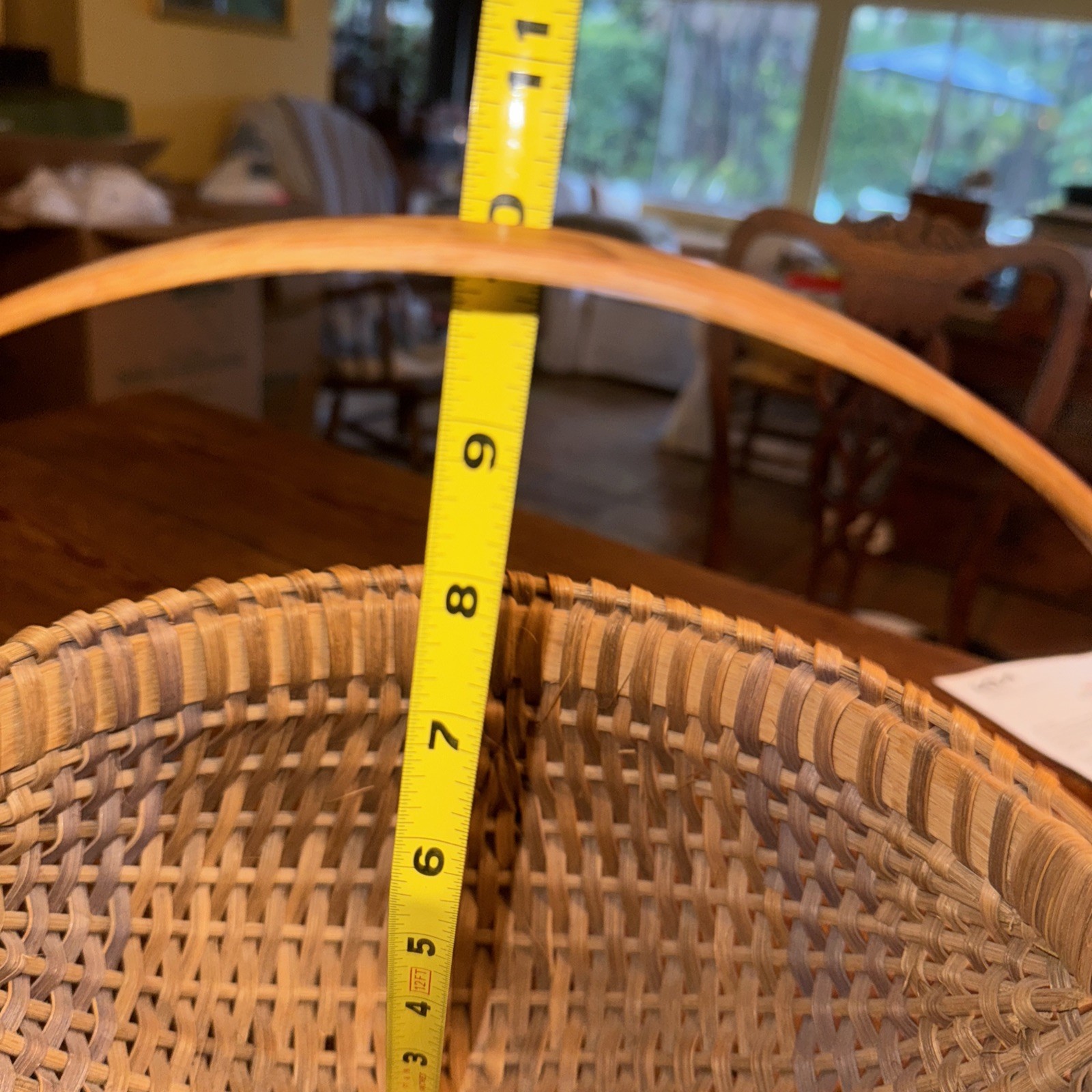 Picture 19 of 19