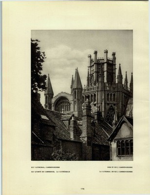 Kupfertiefdruck : Housetops, Cathedral, Hausdächer, Domgarten, Ely, Cambridgeshi