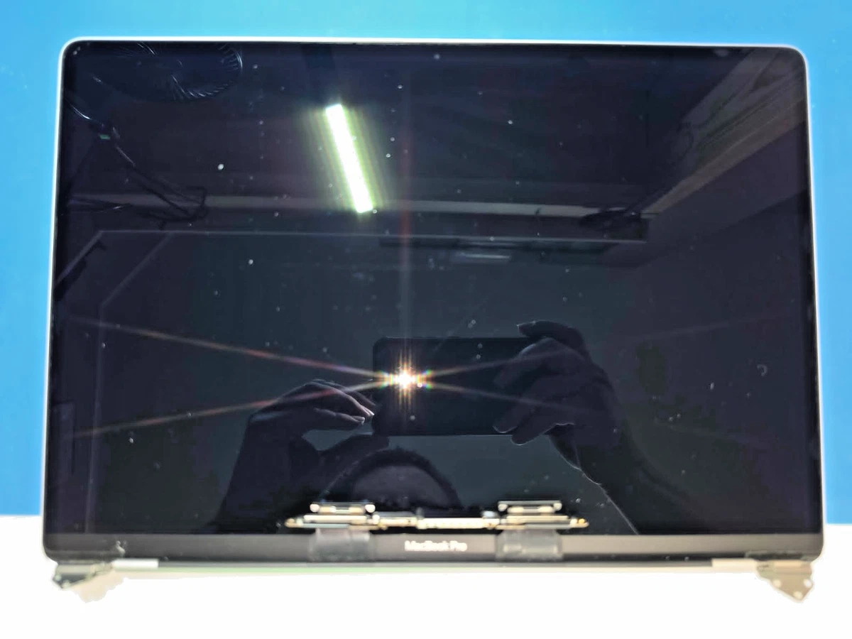 Macbook Pro 15 Screen for sale | eBay