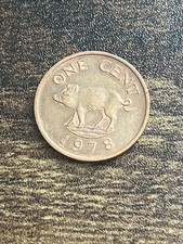 1978 Bermuda Bermudian 1 One Cent Elizabeth II Wild Boar Actual Coin TC1993*