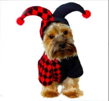 Pet Clothes Small Medium-sized Dog Clown Play Tricks Dog Clothes