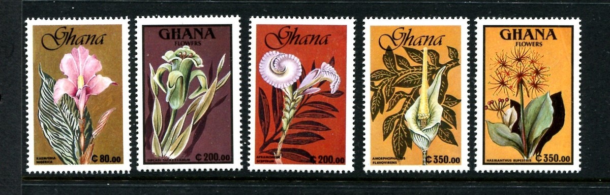 Ghana様 Ghana 1279-1289, MNH, 1991 Flowers. x22684 | eBay