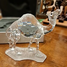 Collezione Cristalli Swarovski : dromedario con scatola