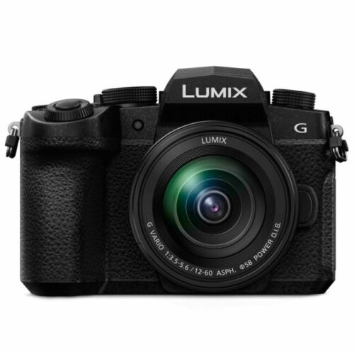 Panasonic LUMIX DC-G99 Body (DC-G95 Japan ver.) #238 4549980225585 