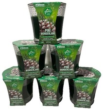 Glade Candle Jar Air Freshener PINE WONDERLAND Limited Edition - 3.4 oz, 6 Count