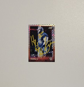 トリプルHフレアオートンバティスタ autograph Triple H Auto | eBay