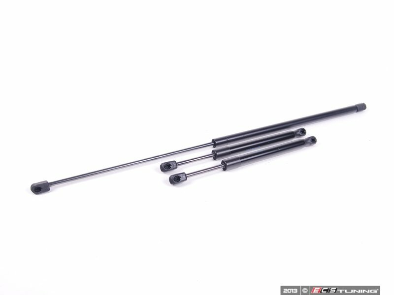 Assembled By ECS Hood And Trunk Strut Kit 8E0823359AKT1 eBay