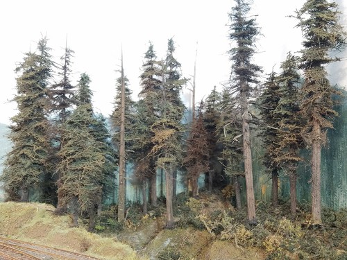 Real Wood Trunks for Making Model Fir Trees, Cedar 11 Inches, All Scale Low$SHIP - Picture 7 of 7