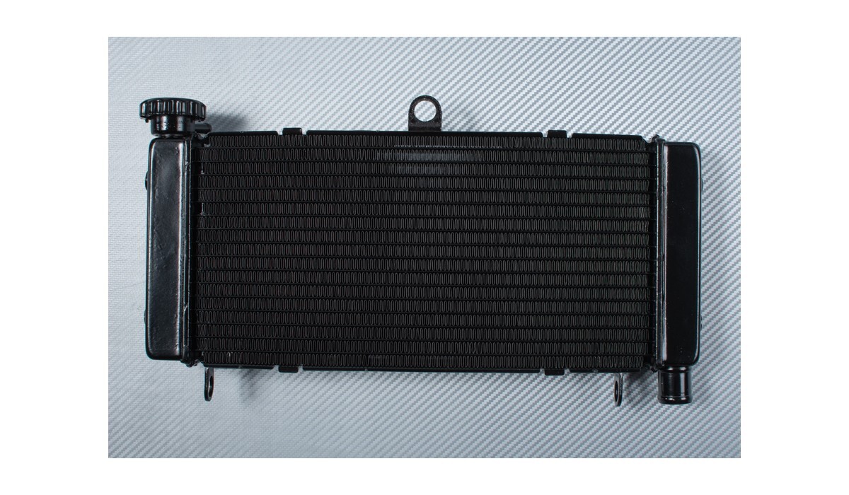 Replacement Radiator Water Cooler OEM Style HONDA CB600 Hornet CB